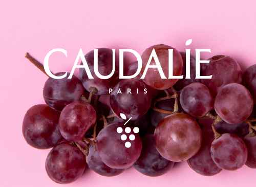 Rote Weintrauben auf rosa Hintergrund mit dem Schriftzug 'CAUDALÍE PARIS' und einem stilisierten Traubensymbol